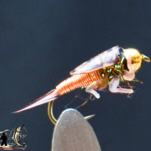 FlyCF1131_745