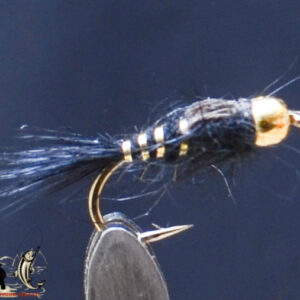 FlyCF1131_746