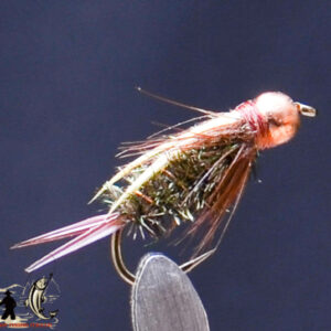 FlyCF1131_747