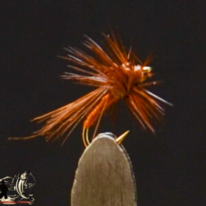 Caddis Brown