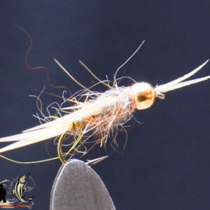 FlyCF1131_750