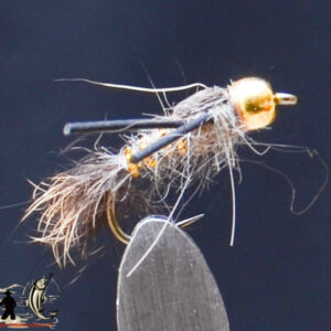 FlyCF1131_751