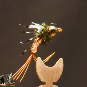 FlyCF1131_752