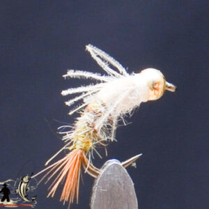 FlyCF1131_753