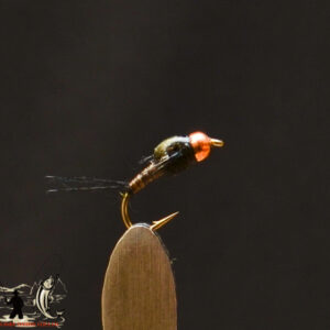 FlyCF1131_755