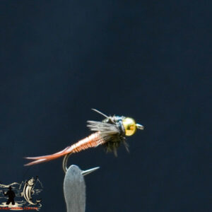 FlyCF1131_758