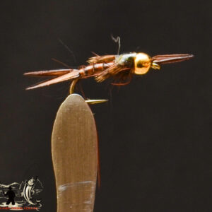 FlyCF1131_759