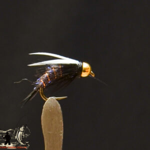 FlyCF1131_760