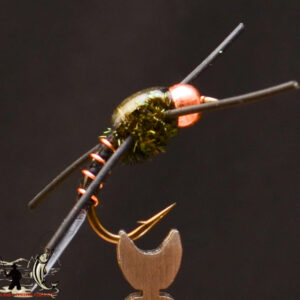 FlyCF1131_765
