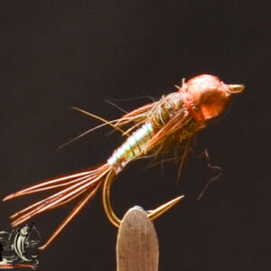FlyCF1131_766