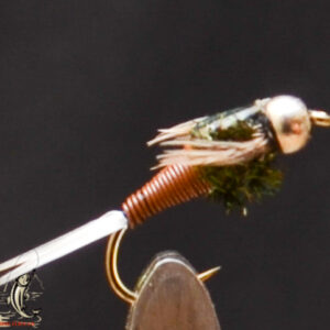 FlyCF1131_770