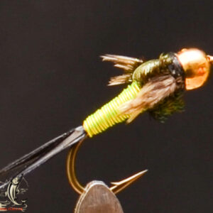 FlyCF1131_771