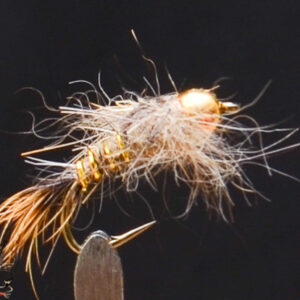 FlyCF1131_773