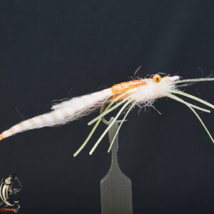 FlyCF1131_802