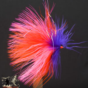 FlyCF1131_803