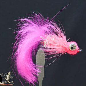 FlyCF1131_804