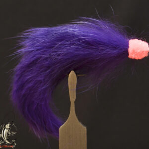 FlyCF1131_805
