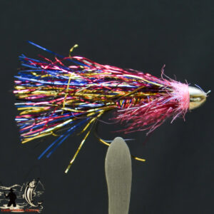 FlyCF1131_818