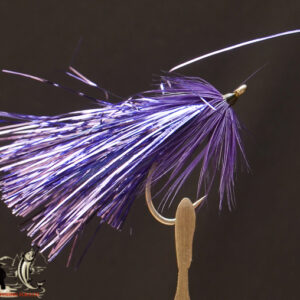 FlyCF1131_819