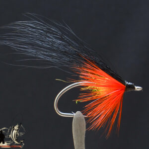 FlyCF1131_825