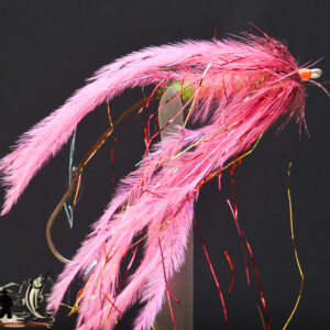 FlyCF1131_829