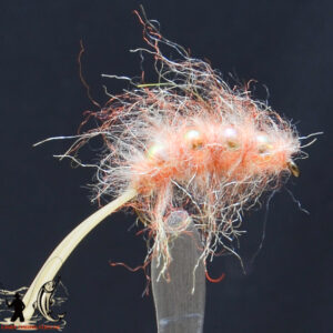 FlyCF1131_844