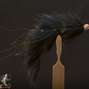FlyCF1131_847