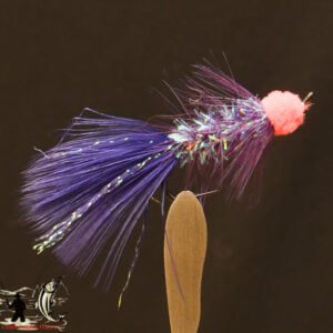 FlyCF1131_848