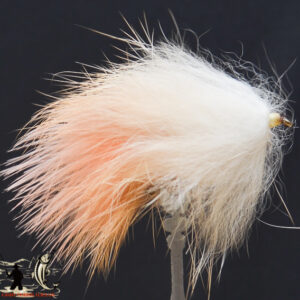 FlyCF1131_849