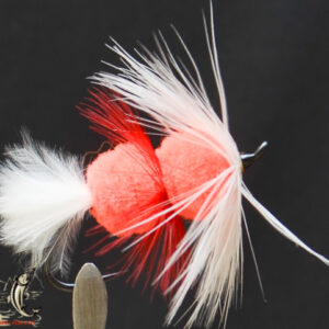 FlyCF1131_851