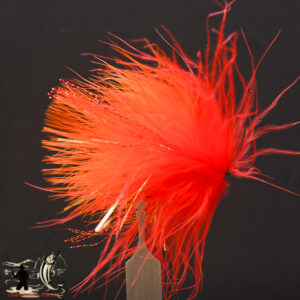 FlyCF1131_852