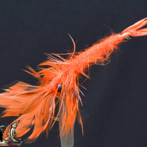 FlyCF1131_855