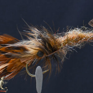 FlyCF1131_856