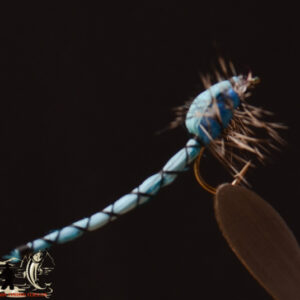 Adult Blue Damsel