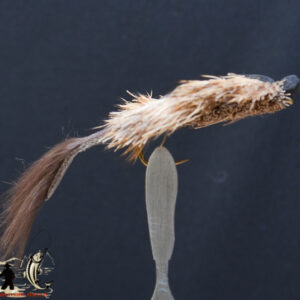 FlyCF1131_861
