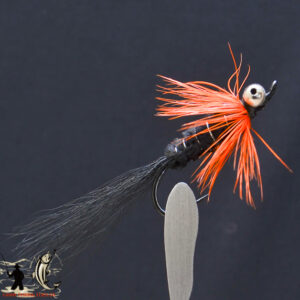 FlyCF1131_863