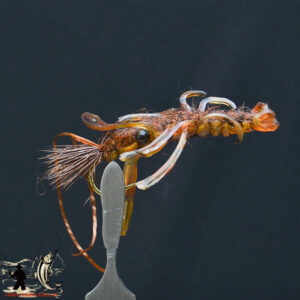 FlyCF1131_865