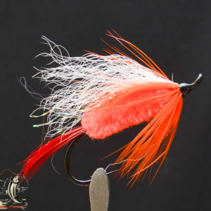 FlyCF1131_866