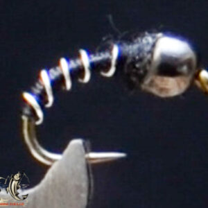 FlyCF1131_871