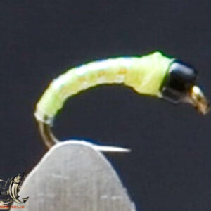 FlyCF1131_872