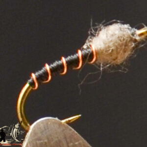 FlyCF1131_875