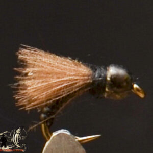FlyCF1131_876