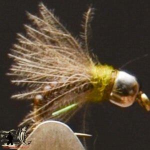 FlyCF1131_877