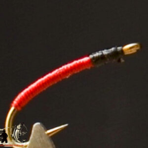 FlyCF1131_878