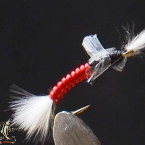 FlyCF1131_879