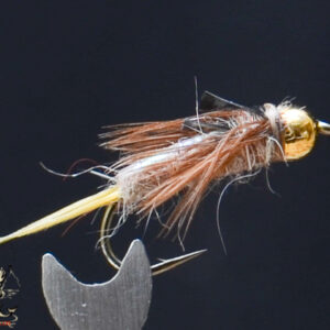 FlyCF1131_892