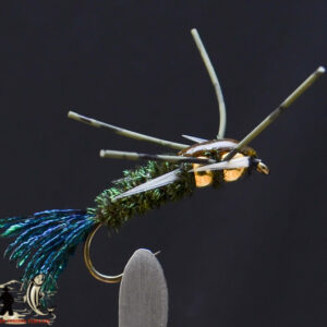 FlyCF1131_894