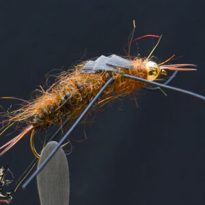 FlyCF1131_895