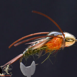 FlyCF1131_896