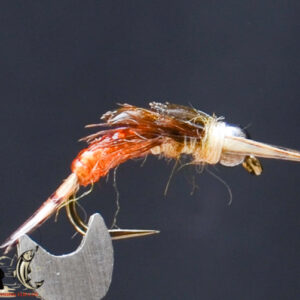 FlyCF1131_898